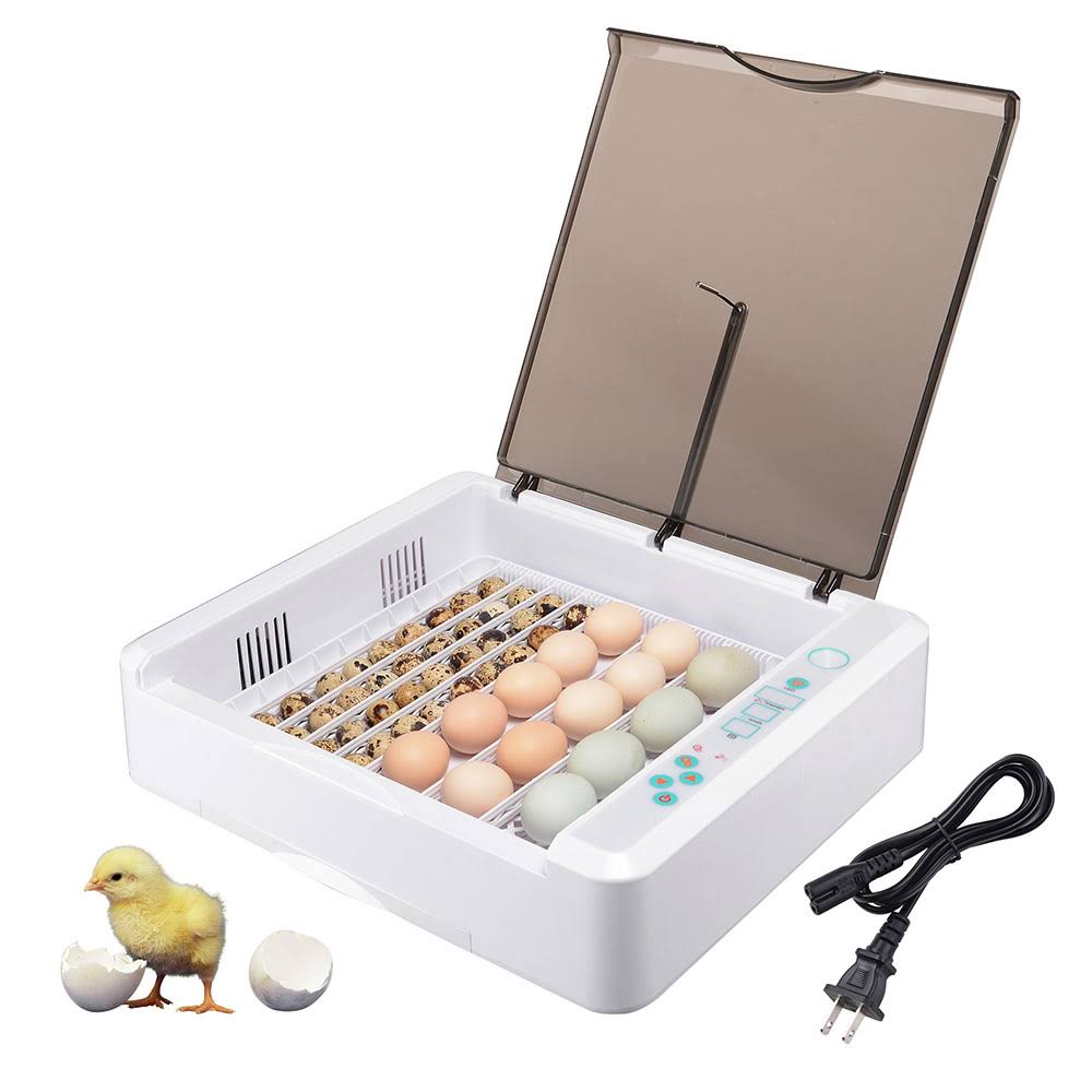 36 Egg Incubator Auto Turning Q3206