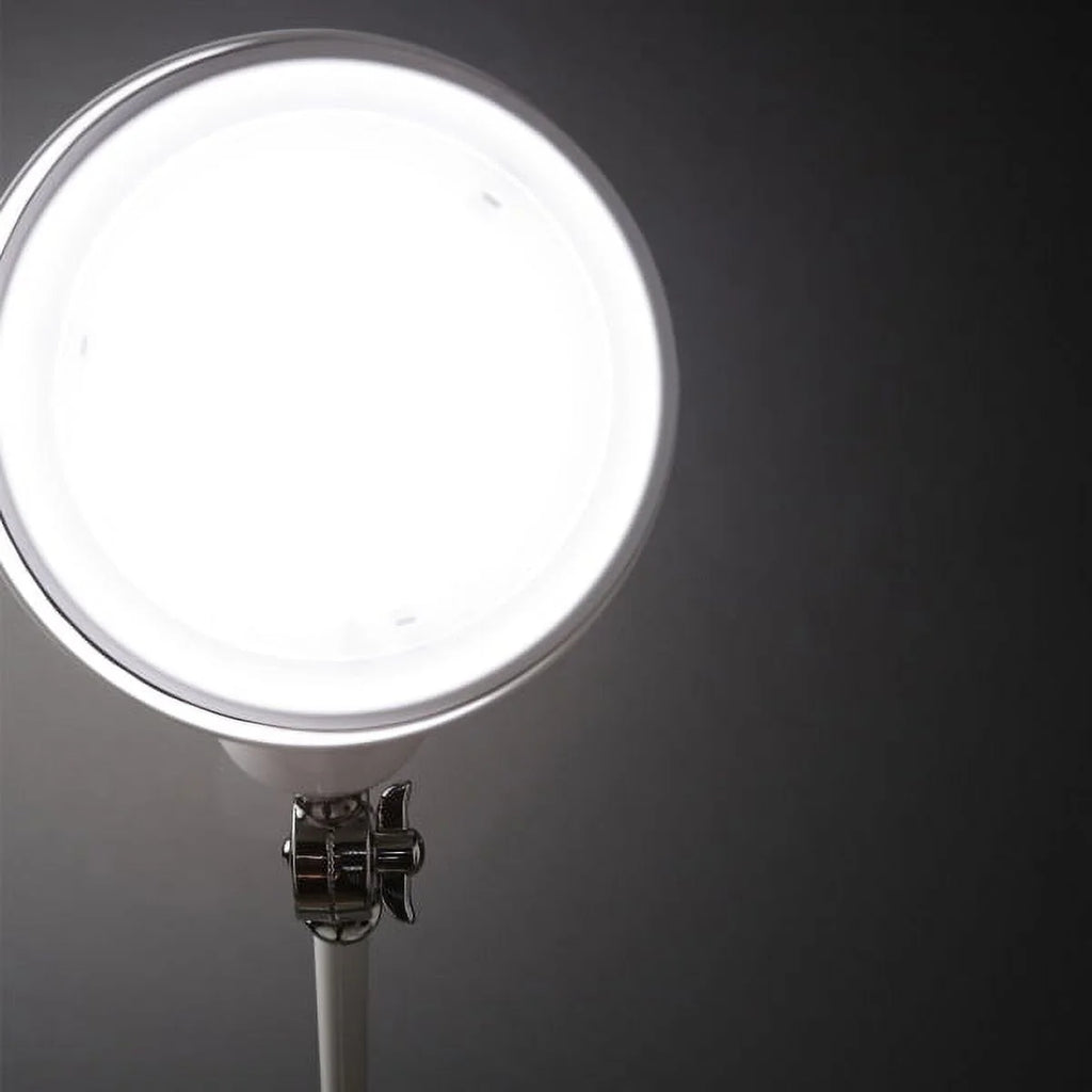 White LED Desk Lamp D8612
