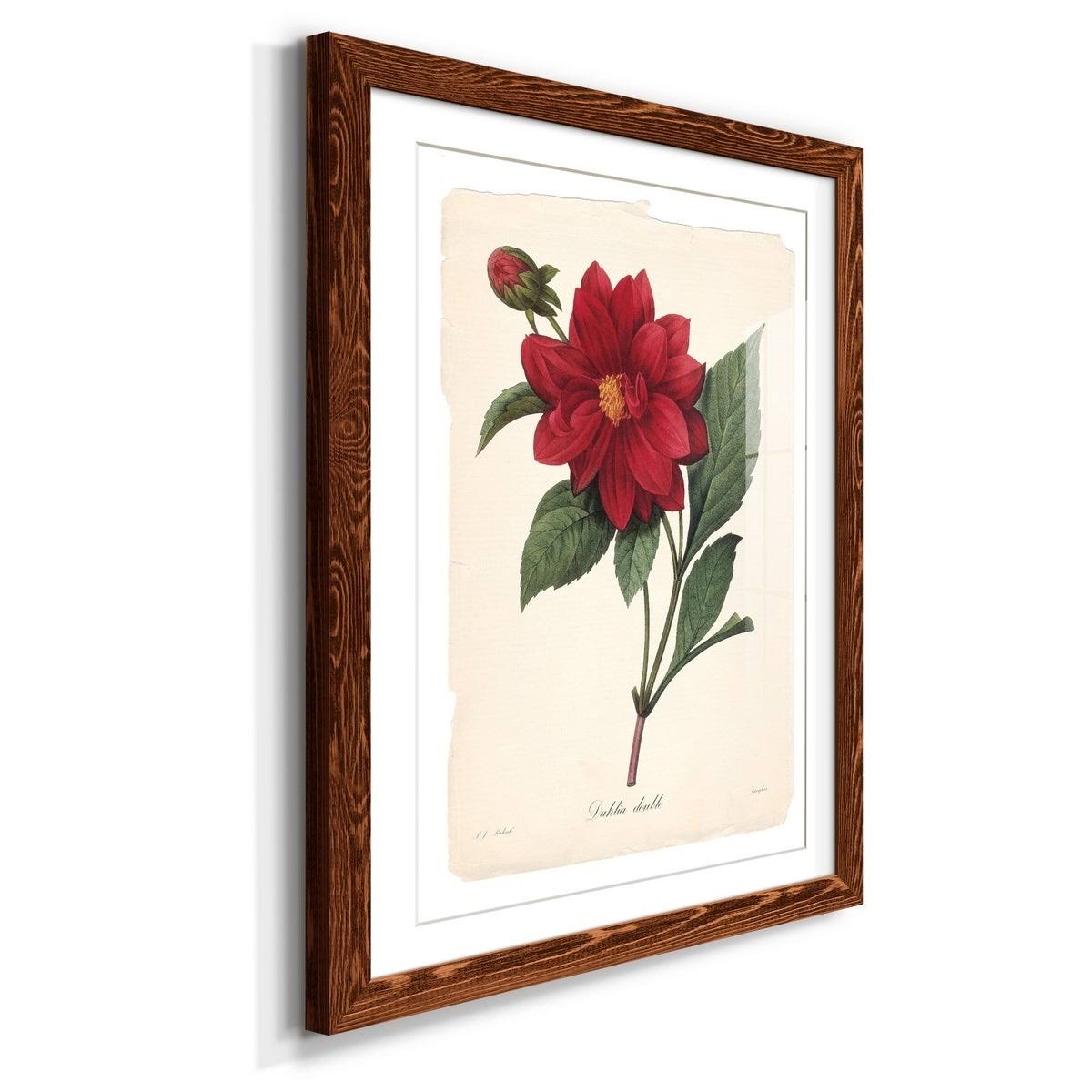 Framed Print - 20x24 - White A1637