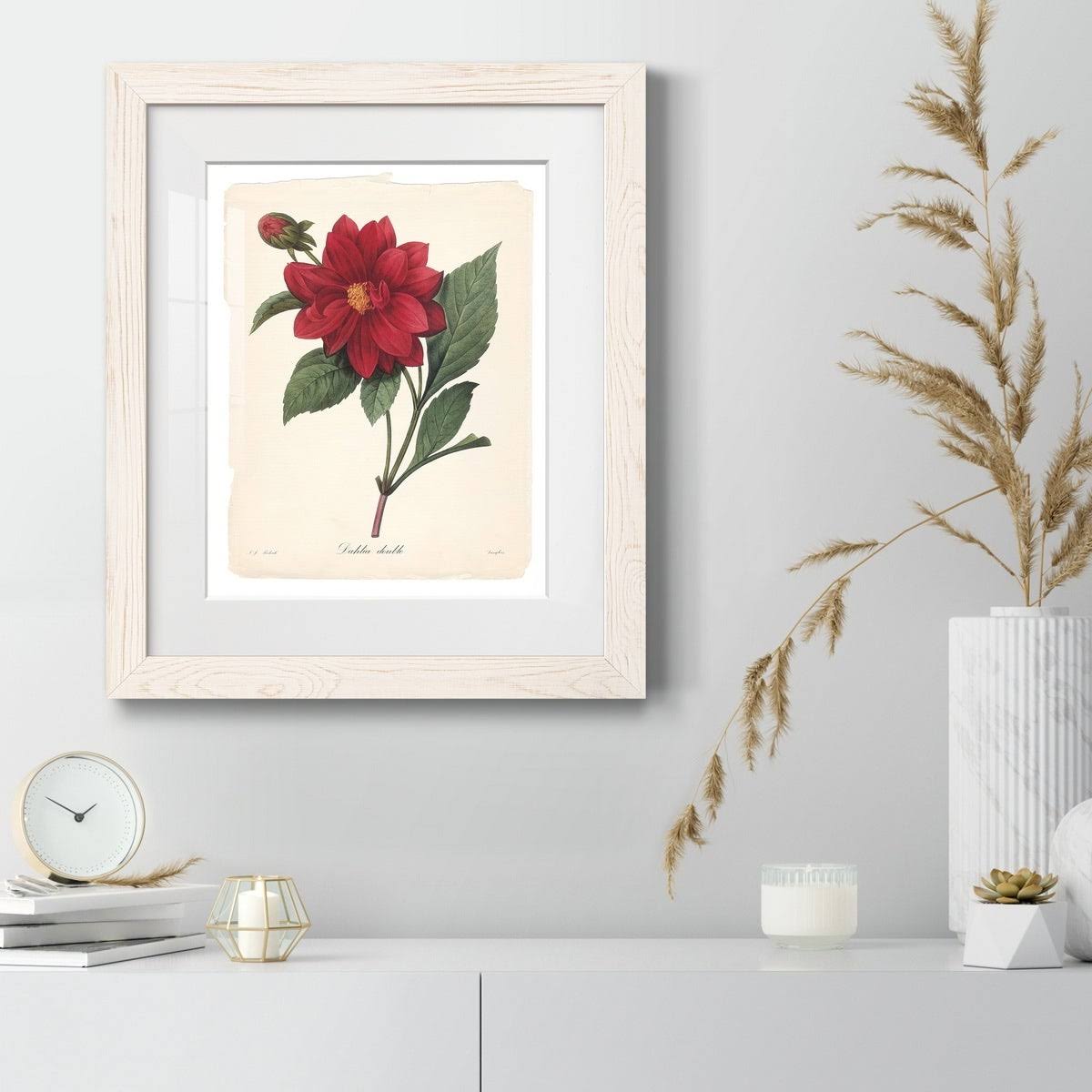 Framed Print - 20x24 - White A1637