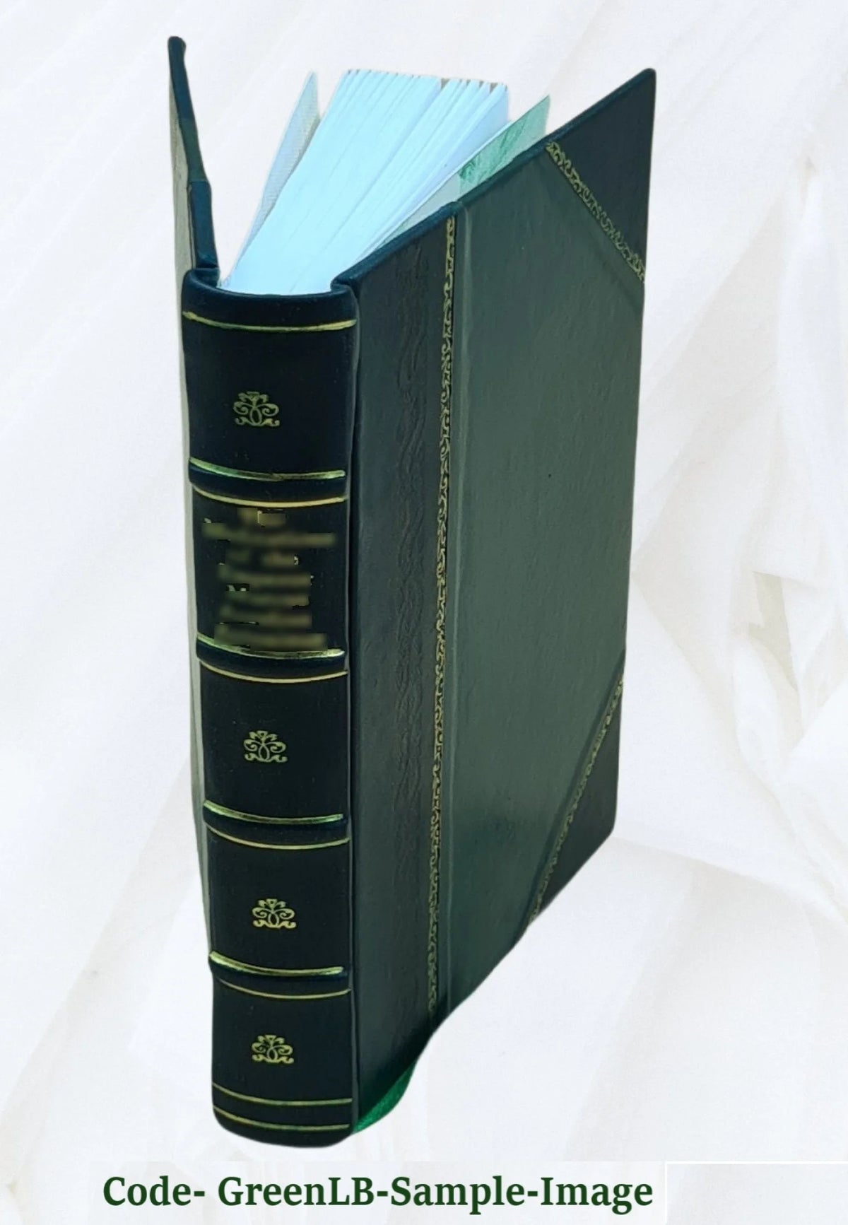 Leather Bound Book F47572