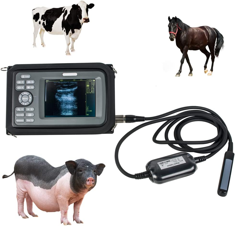 Portable Handheld Scanner Veterinary Digital Machine with 6.5MHz Rectal Handle S66970