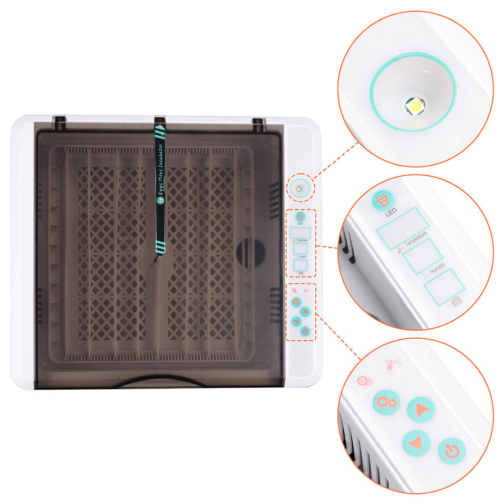 36 Egg Incubator Auto Turning Q3206