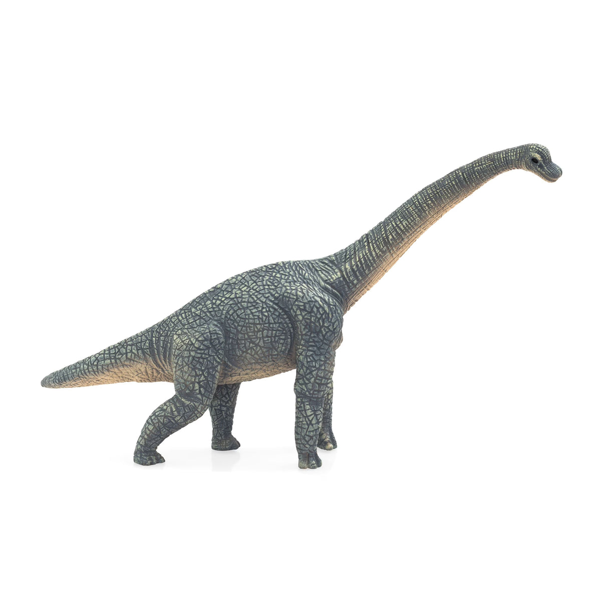 Brachiosaurus Dinosaur Figurine I18927