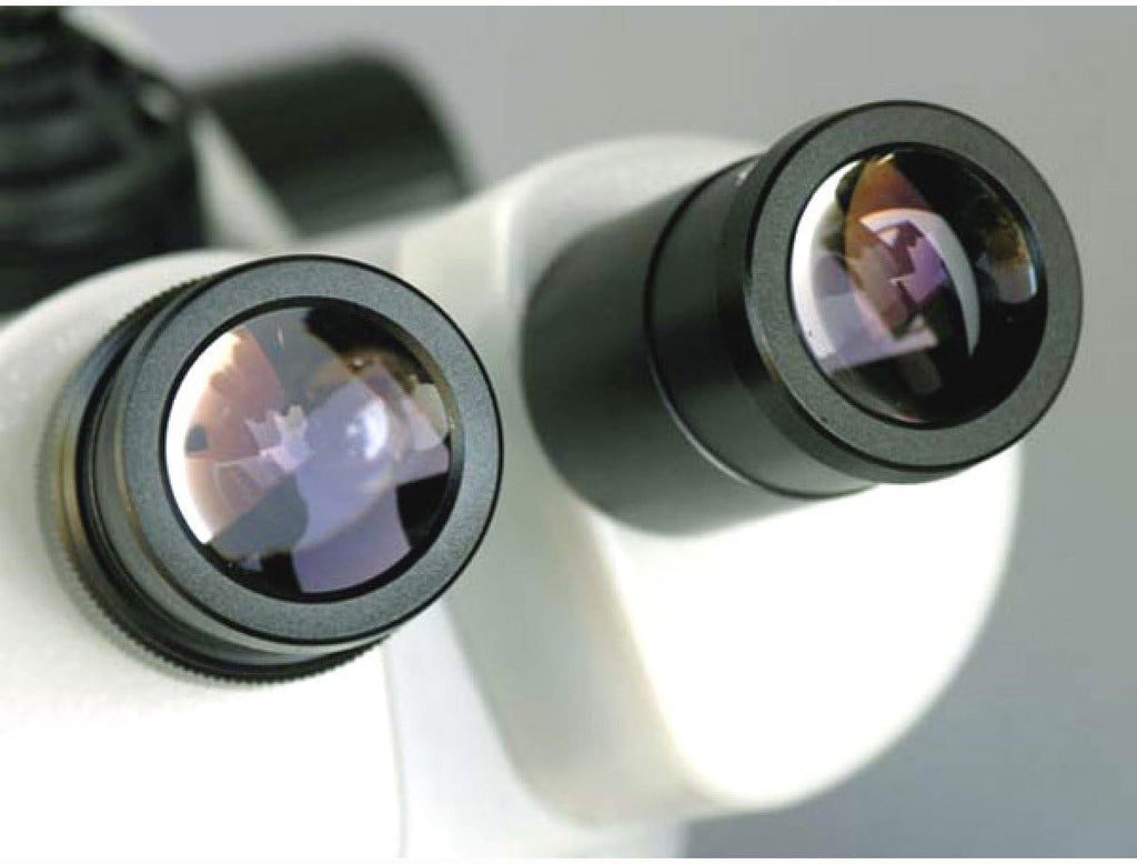 Trinocular Stereo Microscope, 10X/20X/40X Magnification, 2X/4X Objective, Single-Arm Boom Stand, 0.5x Barlow Lens C654644