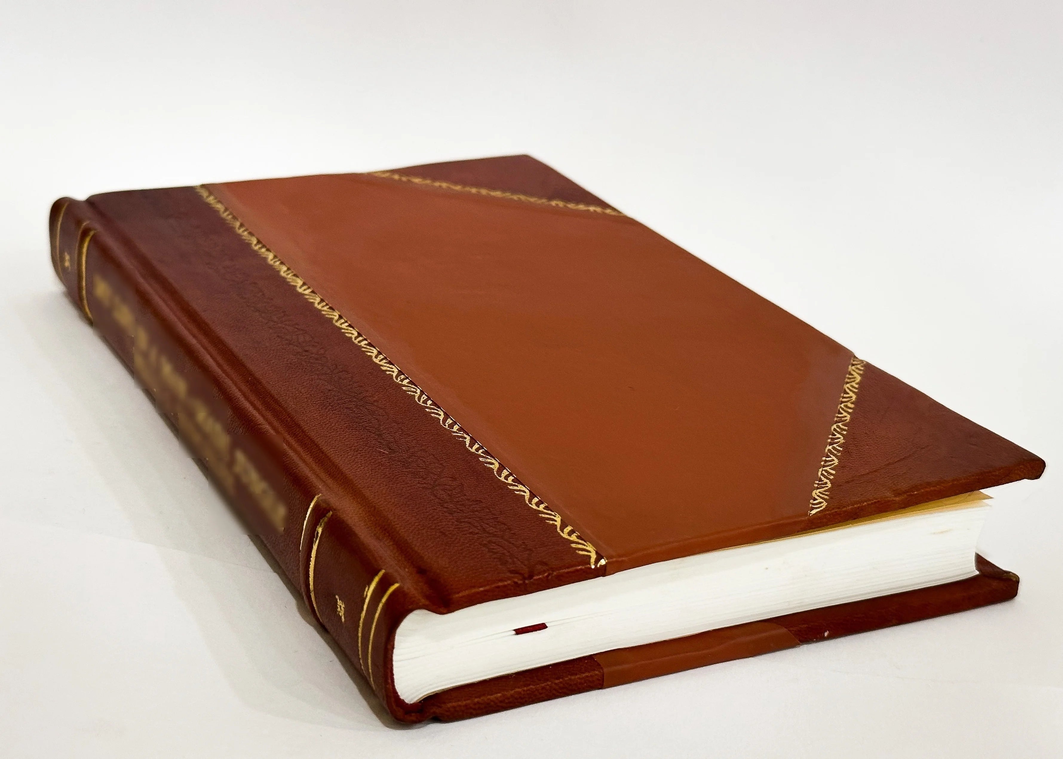 Leather Bound Book T595