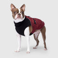 Red Dog Coat O539524