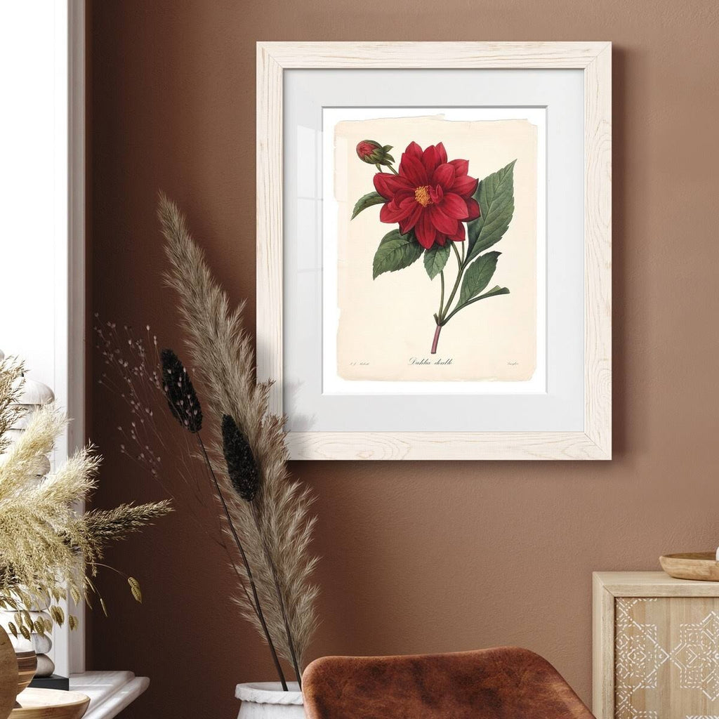 Framed Print - 20x24 - White A1637