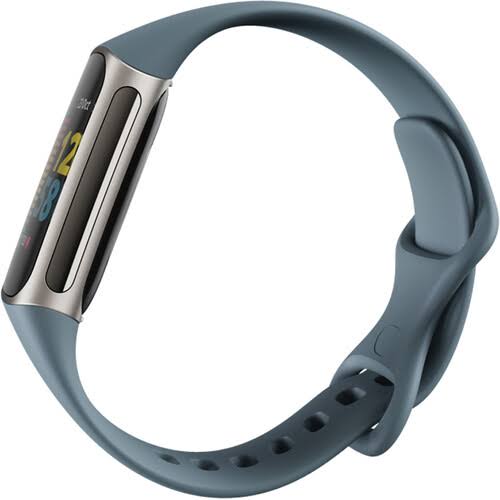 Charge 5 Steel Blue/Platinum K471622