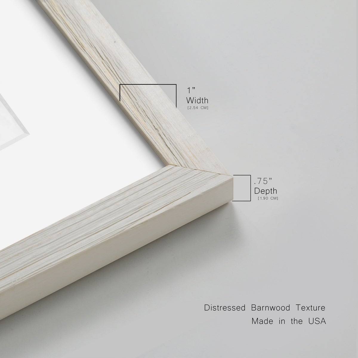 Framed Print - 20x24 - White A1637
