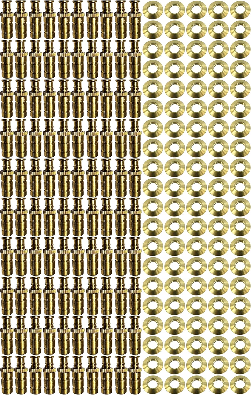 Brass Anchors with Beauty Collar Discs - 100 Pack L4680