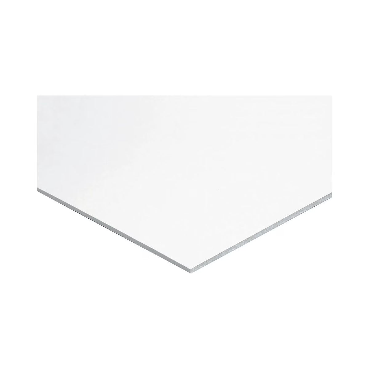 White Foam Boards 20" x 30" 3/16" Pkg of 25 L742