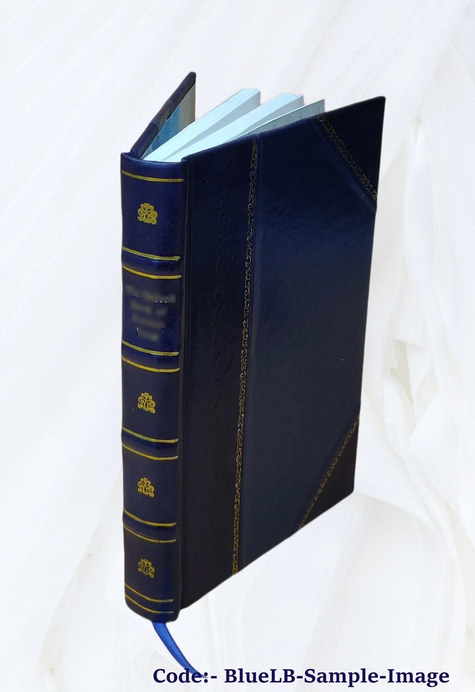 Leather Bound Book T170198