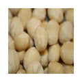 Raw Macadamia Nuts 5 lb X4520