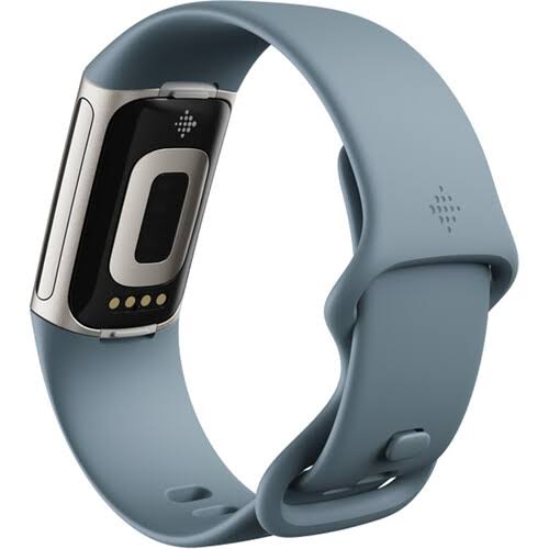 Charge 5 Steel Blue/Platinum K471622
