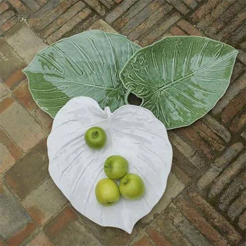White Banana Leaf 50 P803