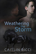 Weathering the Storm (Paperback) L695917