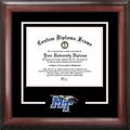 11 x 14 in. Satin Mahogany Diploma Frame E451815