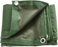 Green 6 x 8 Feet Waterproof Canvas Tarp with Rust Grommets U543554