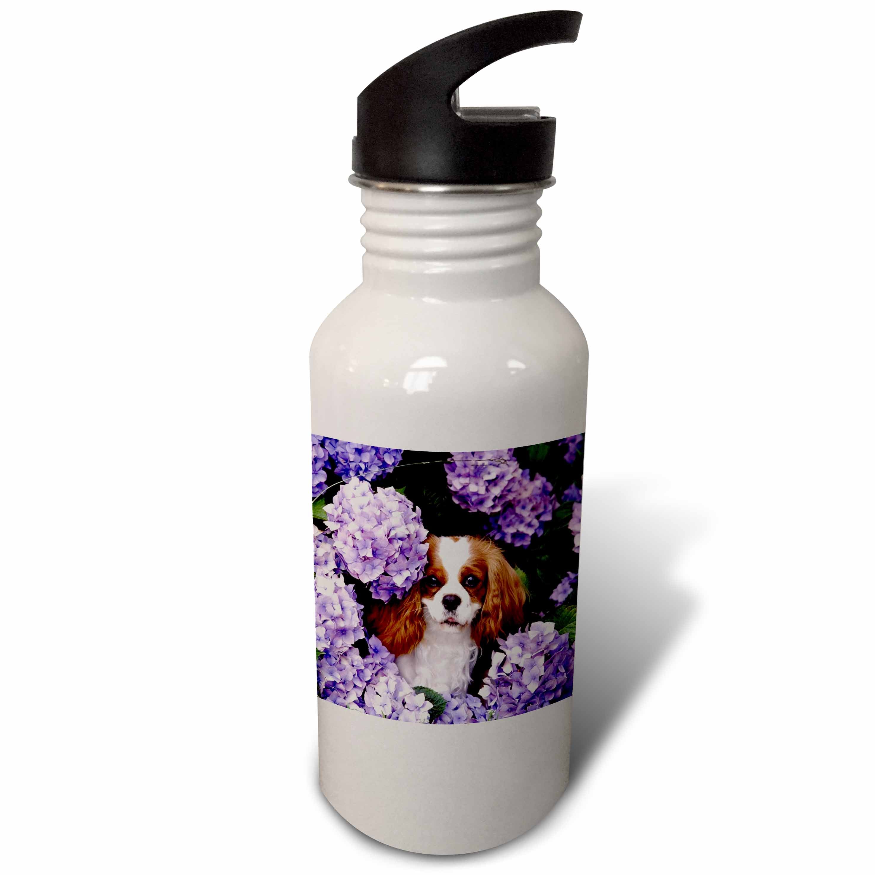 21oz Sports Water Bottle X220396