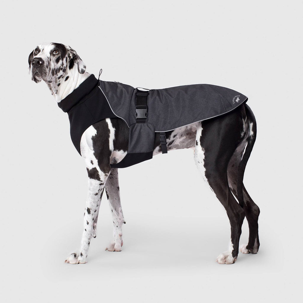 Red Dog Coat O539524