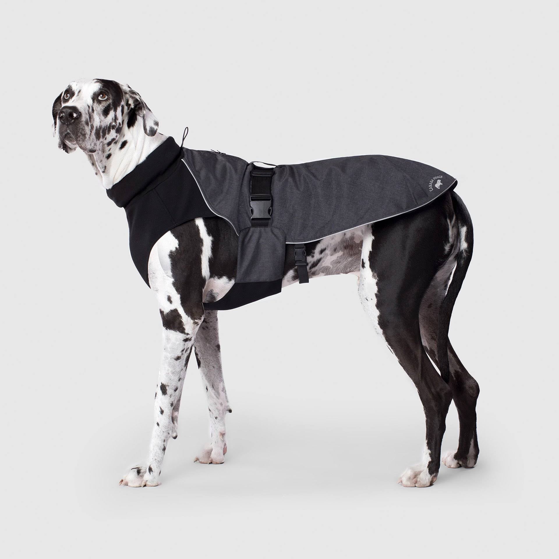 Red Dog Coat O539524