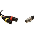 5-Pin Stereo XLR Female to Dual XLR Male Y-Cable C960327