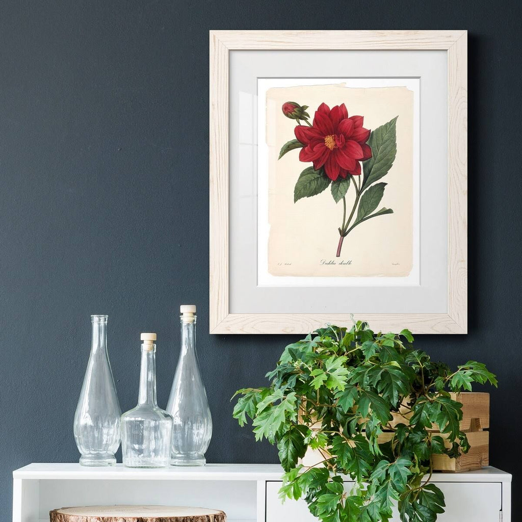 Framed Print - 20x24 - White A1637