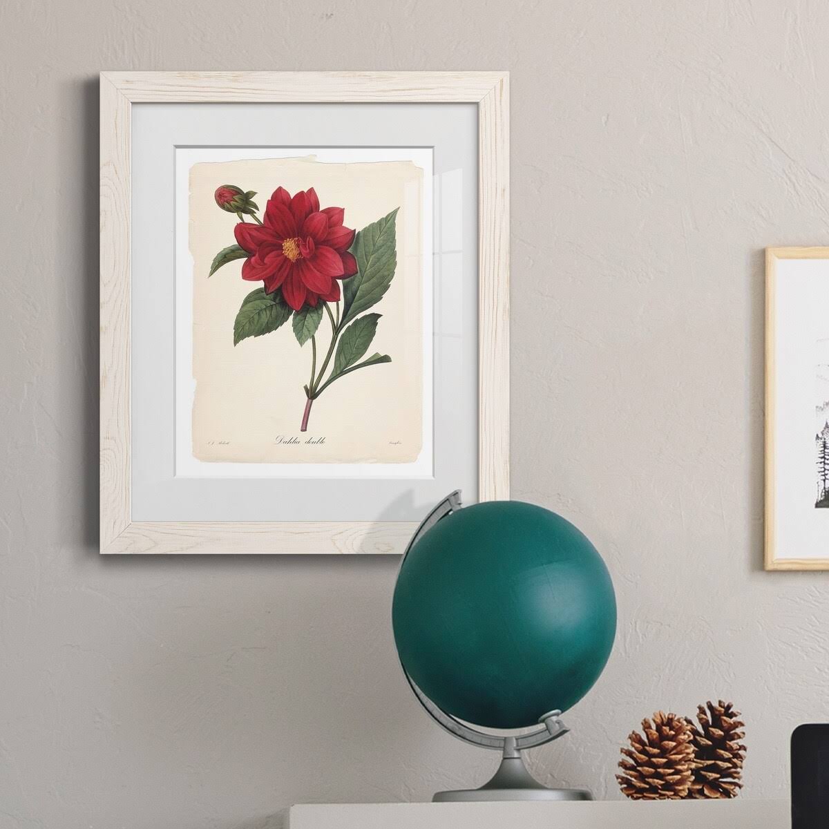 Framed Print - 20x24 - White A1637