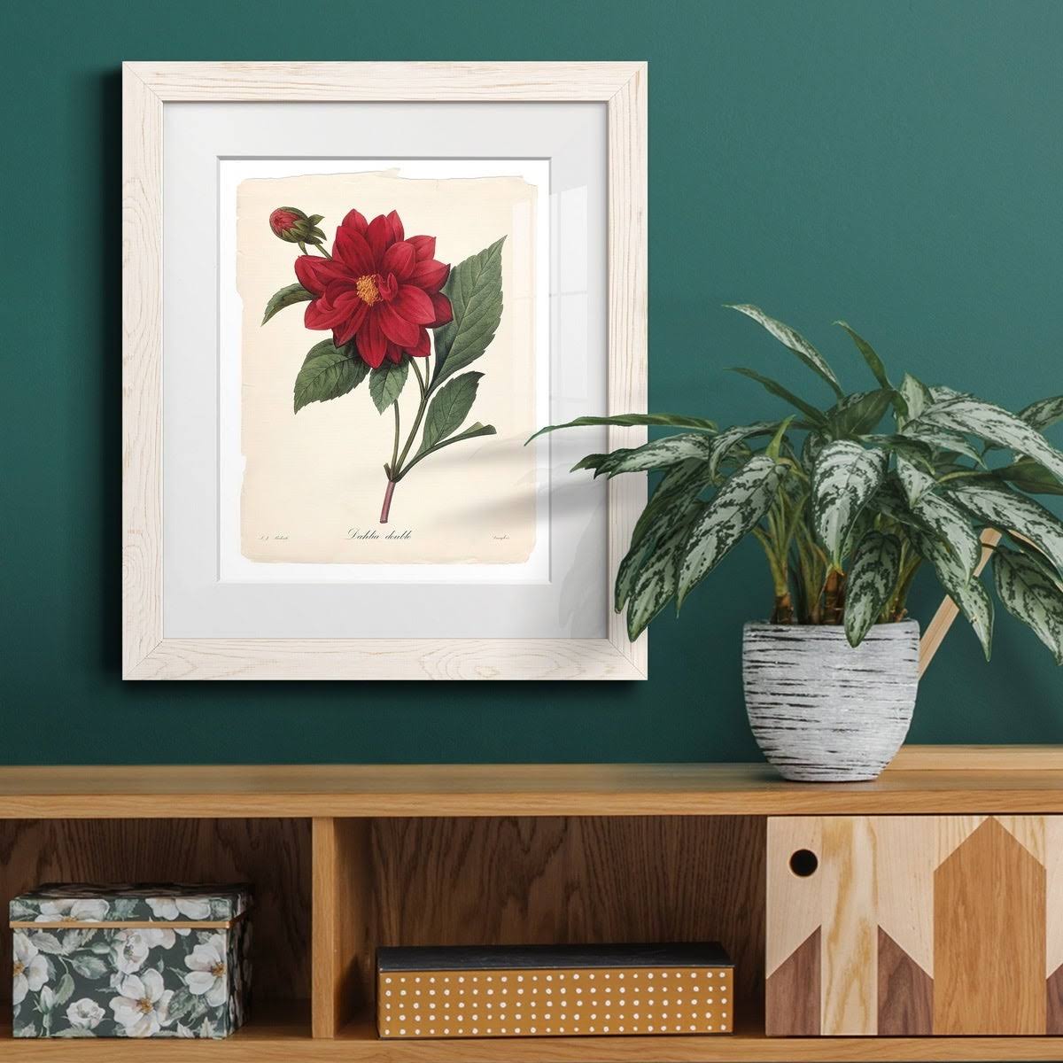 Framed Print - 20x24 - White A1637