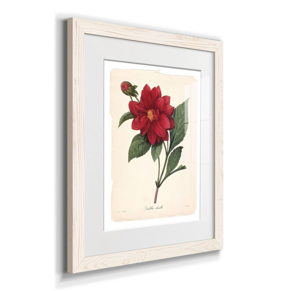 Framed Print - 20x24 - White A1637