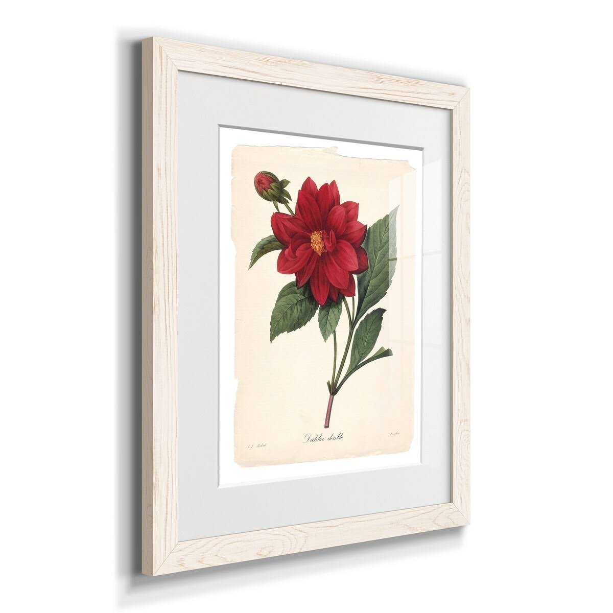 Framed Print - 20x24 - White A1637