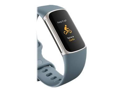 Charge 5 Steel Blue/Platinum K471622