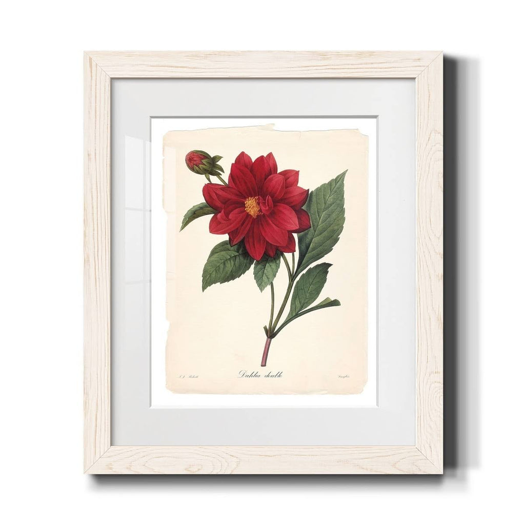 Framed Print - 20x24 - White A1637