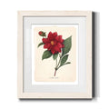 Framed Print - 20x24 - White A1637