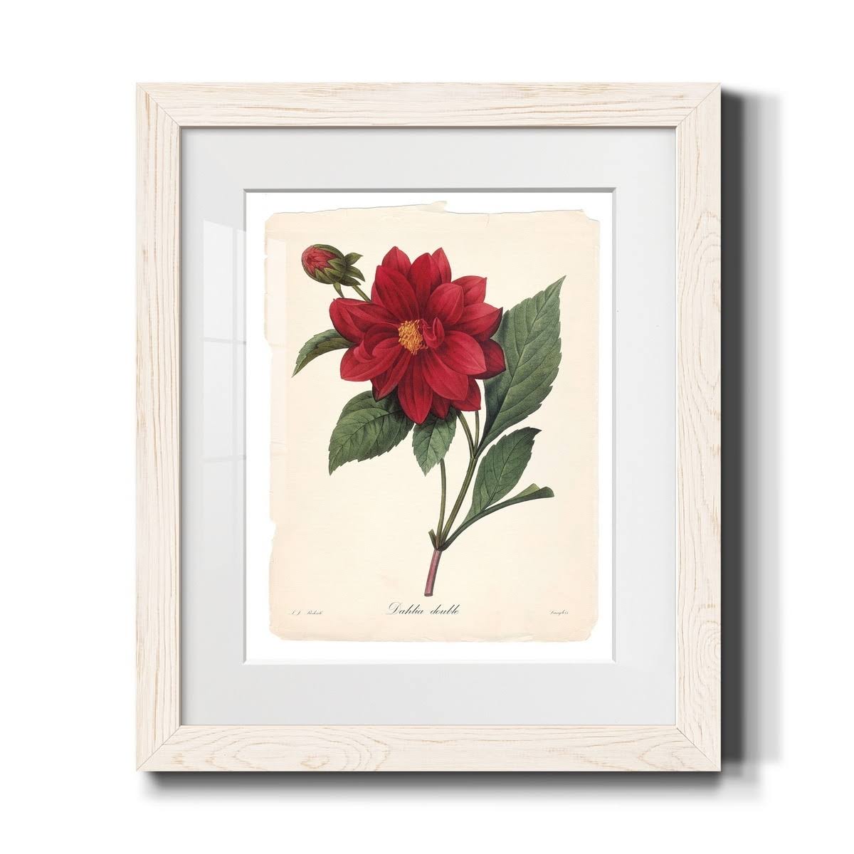 Framed Print - 20x24 - White A1637