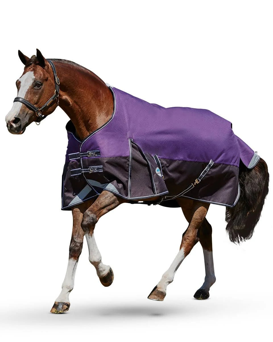 Purple/Black Medium Standard Neck ComFiTec Plus Dynamic H257242