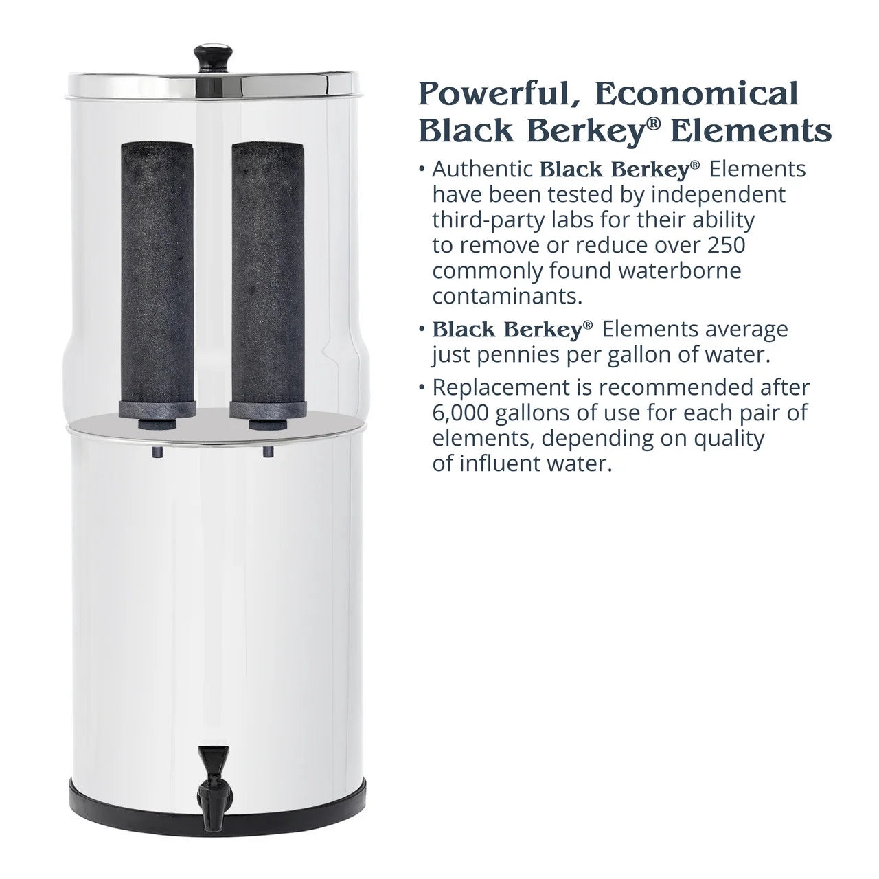 Black Purification Elements, 2 Count F952410