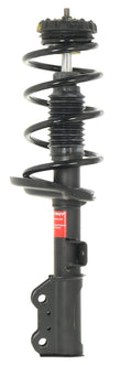 Strut and Coil Spring Assembly W80517